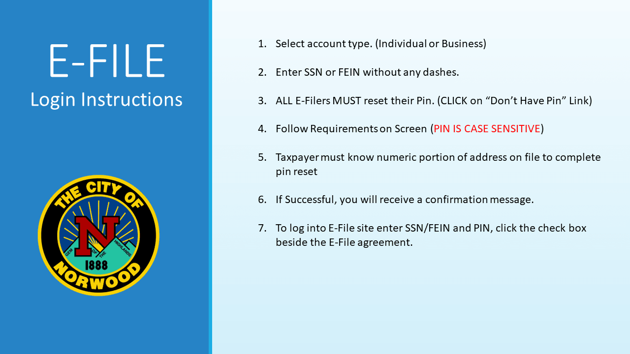 EFile Instructions on a light blue flyer (PNG)